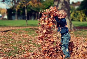 spring and fall leave cleanup Norwalk Seasonal - Des Moines, Iowa