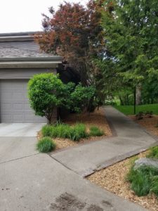 Landscaped Walkway Norwalk Seasonal - Des Moines, Iowa