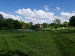 Des Moines Mowing Service Norwalk Seasonal - Des Moines, Iowa