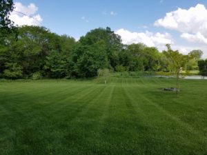 Professional Yard Care Services Norwalk Seasonal - Des Moines, Iowa