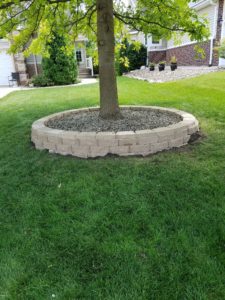 Stone Wall Around Tree Norwalk Seasonal - Des Moines, Iowa