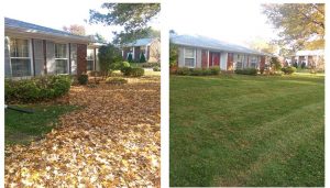 Befor and After leaf clean up by Norwalk Seasonal - Des Moines, Iowa