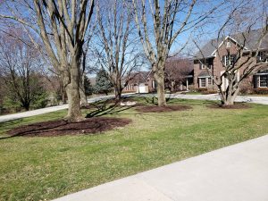 mulch around trees by Norwalk Seasonal - Des Moines, Iowa