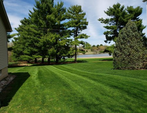Lawn Care