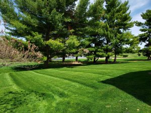Yard cutting and maintenance by Norwalk Seasonal - Des Moines, Iowa