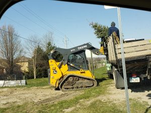 Tree Planting by Norwalk Seasonal - Des Moines, Iowa