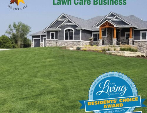 Your Lawn Service Professionals!