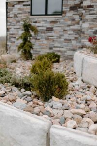 Rock and Plant Garden Norwalk Seasonal - Des Moines, Iowa