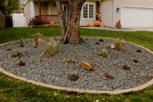 Limestone Edged Rock Garden around Tree Norwalk Seasonal - Des Moines, Iowa