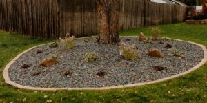 Rock and Planting around Tree Norwalk Seasonal - Des Moines, Iowa