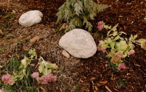 Mulch Garden with Rocks and Plants Norwalk Seasonal - Des Moines, Iowa