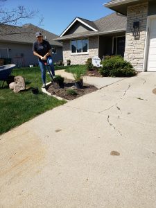 Plant installations by Norwalk Seasonal - Des Moines, Iowa