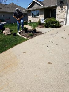 Plant installation by Norwalk Seasonal - Des Moines, Iowa