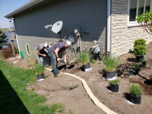 Landscaping and planting by Norwalk Seasonal - Des Moines, Iowa