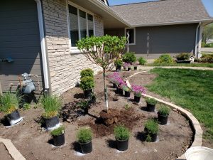 Planing and landscaping by Norwalk Seasonal - Des Moines, Iowa