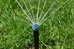 A closeup of an inground sprinkler head.