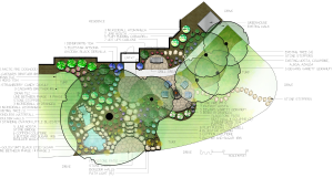Landscape Drawing depicting the tree canopies, flower installations and walkways along with a pond and bridge - Norwalk Seasonal Services