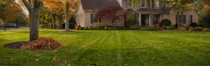 Professionally maintained lawn and landscape in early fall